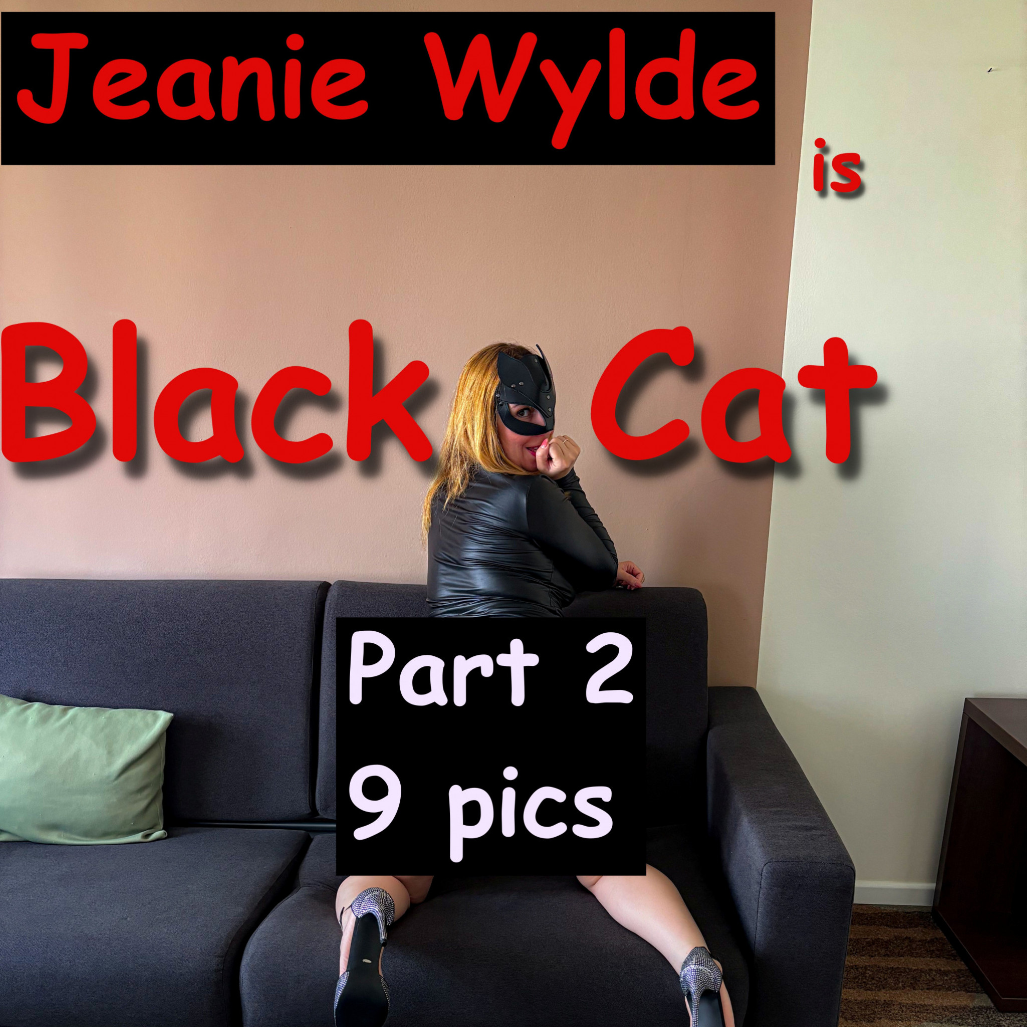 Black Cat Part 2